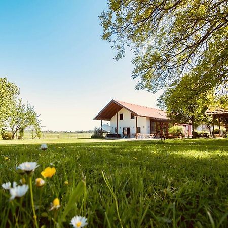 Maison d'hôtes Sonnenblumenhof à Mühlheim Extérieur photo