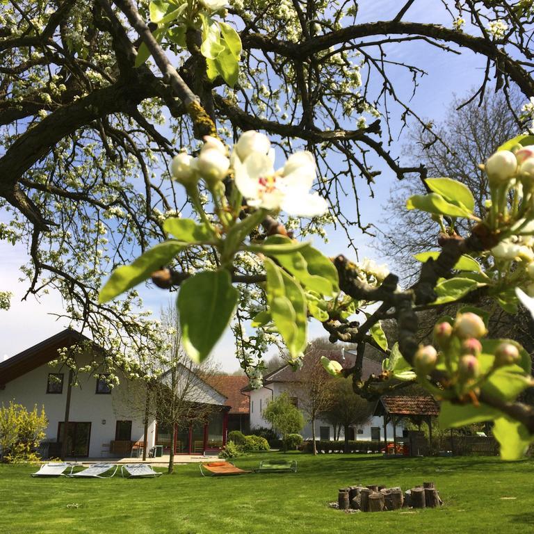 Maison d'hôtes Sonnenblumenhof à Mühlheim Extérieur photo
